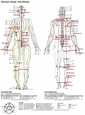 300px-Chinese_meridians